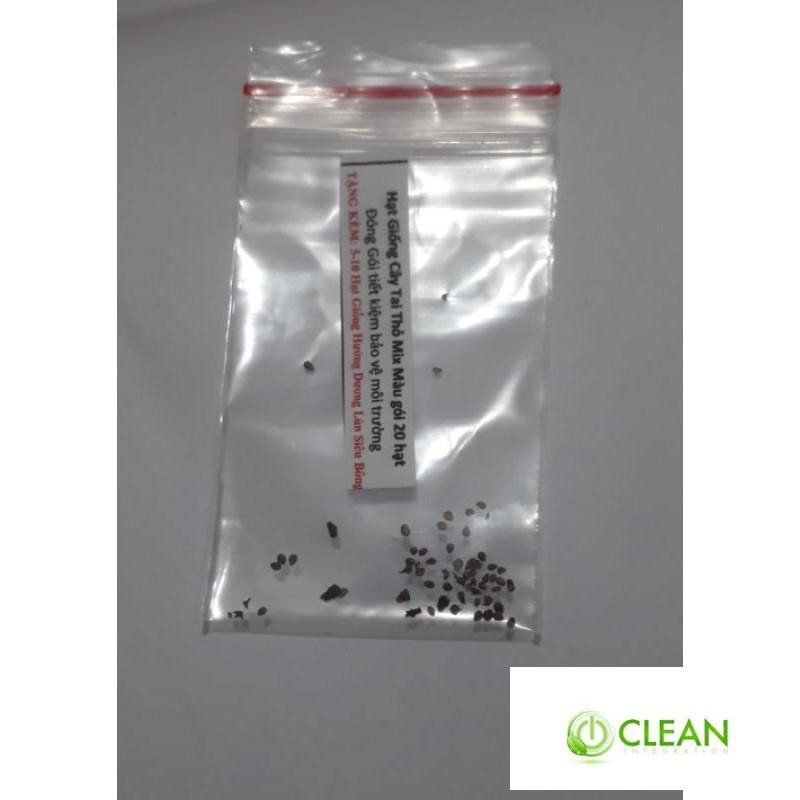 Hạt gióng cây tai thỏ mix màu 20 hạt