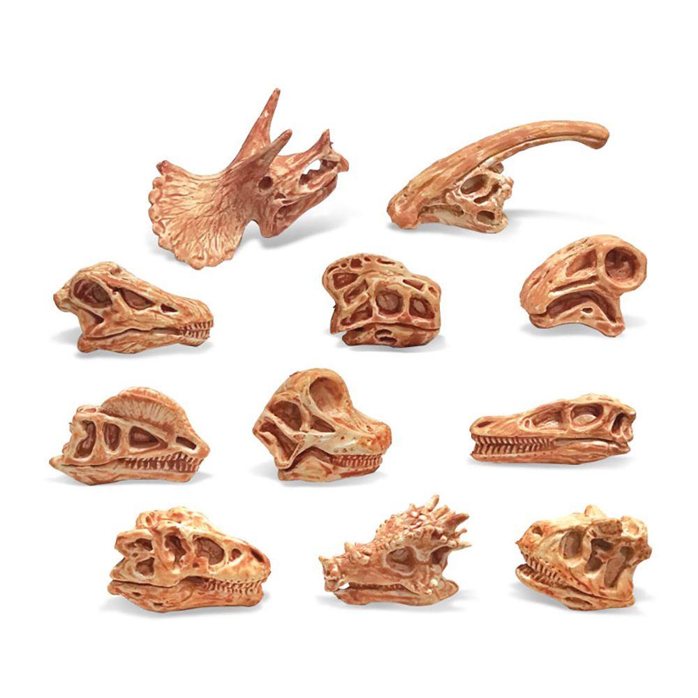 CHOOKEY Set 11 / 11 Món Đồ Chơi Hóa Thạch Khủng Long Cho Bé