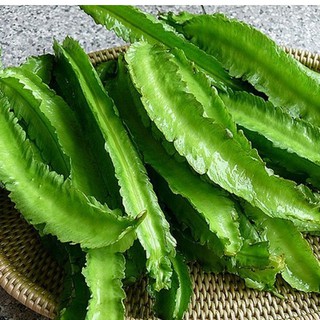 Hạt Giống Đậu Rồng(Đậu Khế)