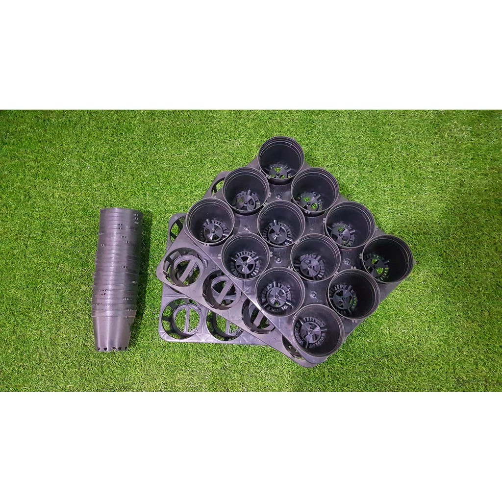Combo 3 khay 3.5in 12 lổ chuyên dùng đựng chậu hồ điệp và 36 chậu đen bít 10cm.