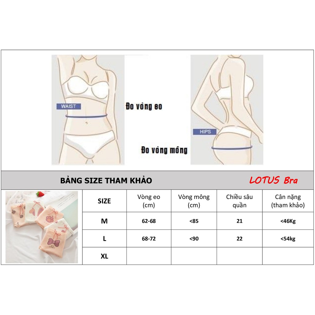 Set 5 quần lót cotton nữ dễ thương NuciFera mẫu Nơ xinh chất mềm co dãn