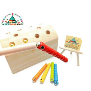 Bộ câu sâu gỗ nam châm
