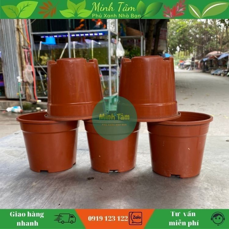 Chậu nhựa tròn - nhiều kích thước đa dạng cho kiểng lá, sen đá xương rồng