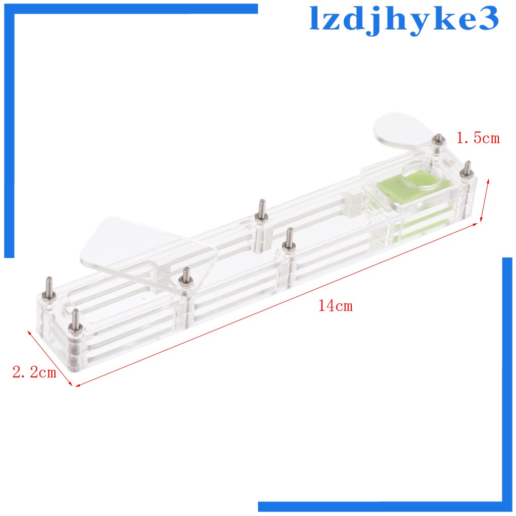 [lzdjhyke3] Hộp Nuôi Kiến Nhỏ Bằng Acrylic Trong Suốt Cho Nông Trại