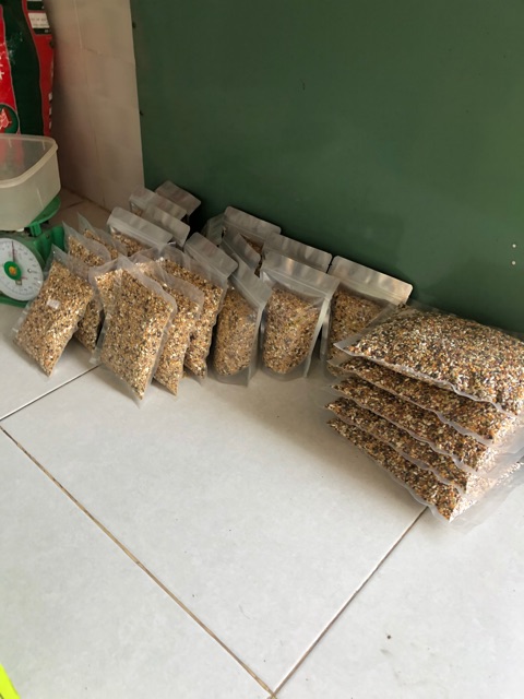Ngũ cốc trộn 14 loại hạt cho chim cu gáy
