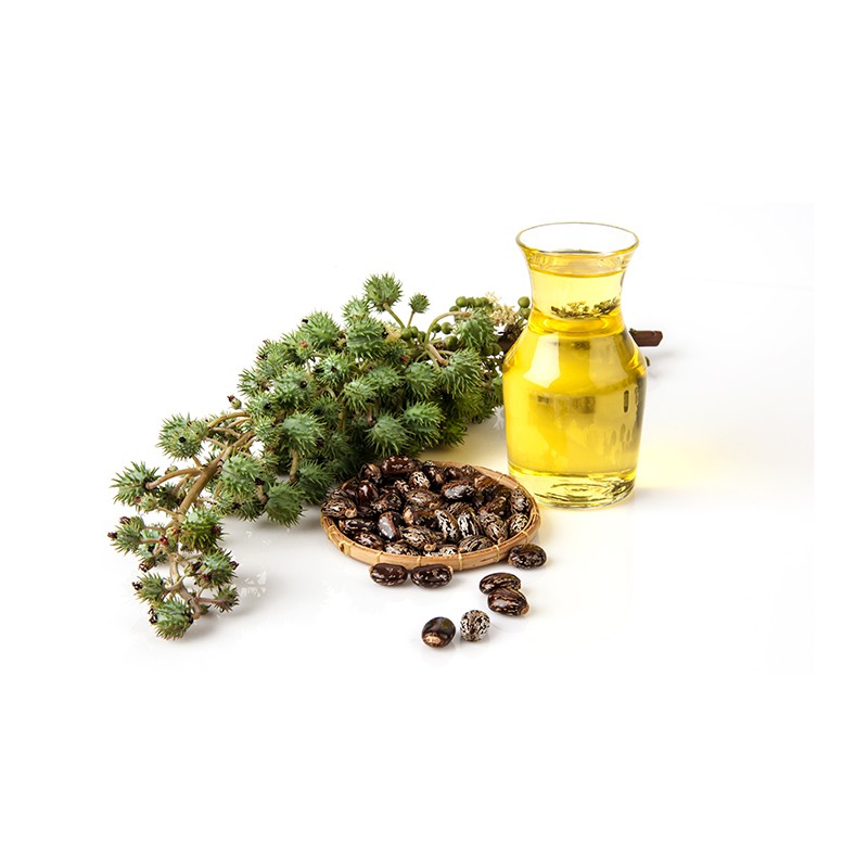 Dầu thầu dầu (Castor Oil) nguyên chất