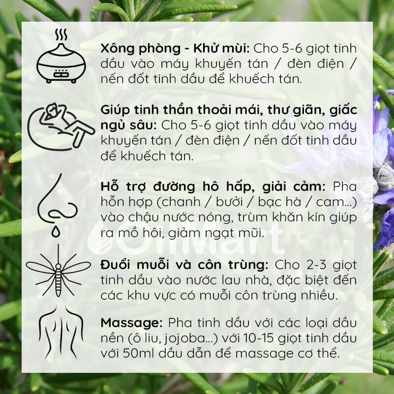 Tinh Dầu Thiên Nhiên Hương Thảo Oilmart Rosemary Essential Oil