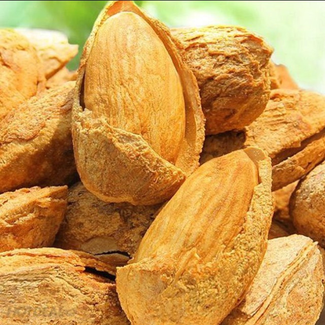 Hạt ngon 123