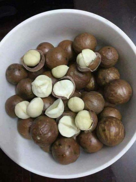 Macca nứt vỏ tự nhiên 500g size to