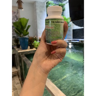 Trị Nấm Mang Cá koi