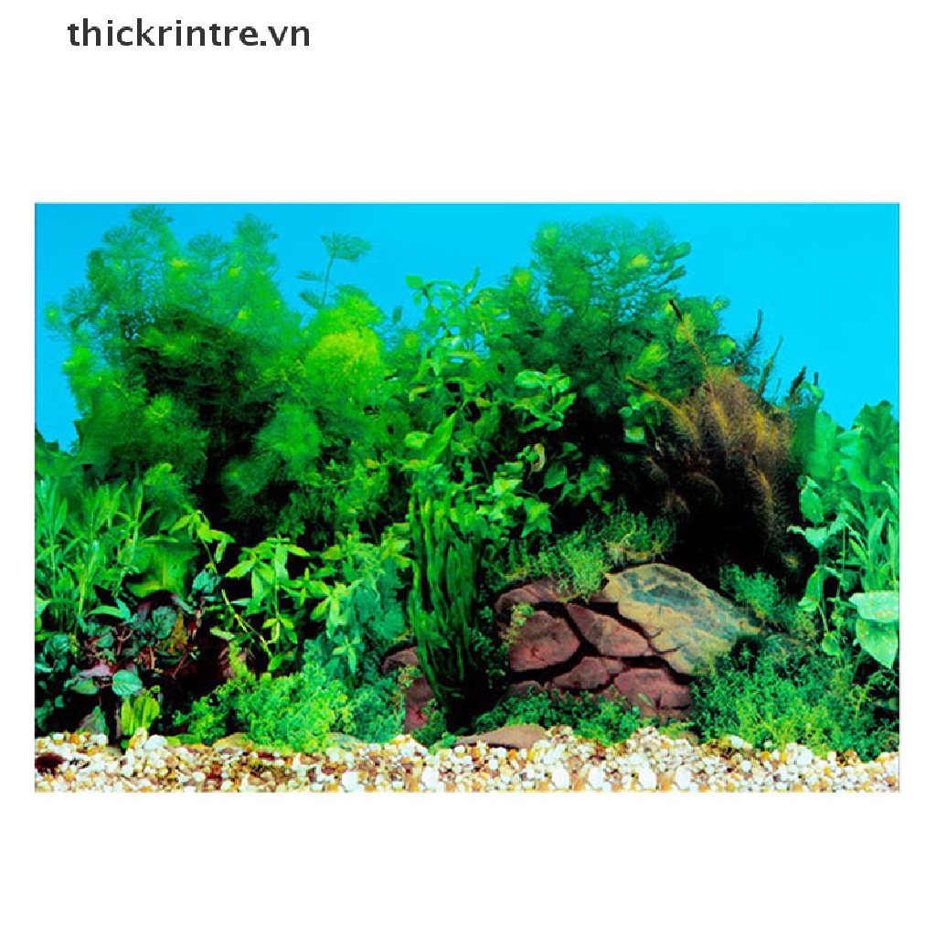 Poster 3D Hình Phong Cảnh Trang Trí Bể Cá