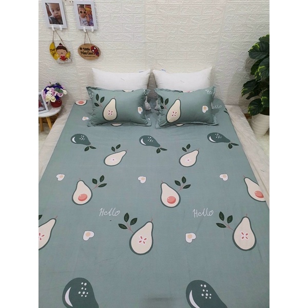 [ xả hàng siêu rẻ] ga gối cotton boly kt m2,m6,m8