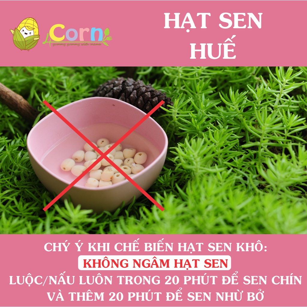 Hạt sen Huế khô tuyển chọn đặc biệt - Cho bé 6m+