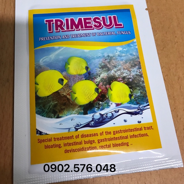 Trimesul - vi khuẩn , nấm ở cá cảnh