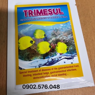 Trimesul - vi khuẩn , nấm ở cá cảnh