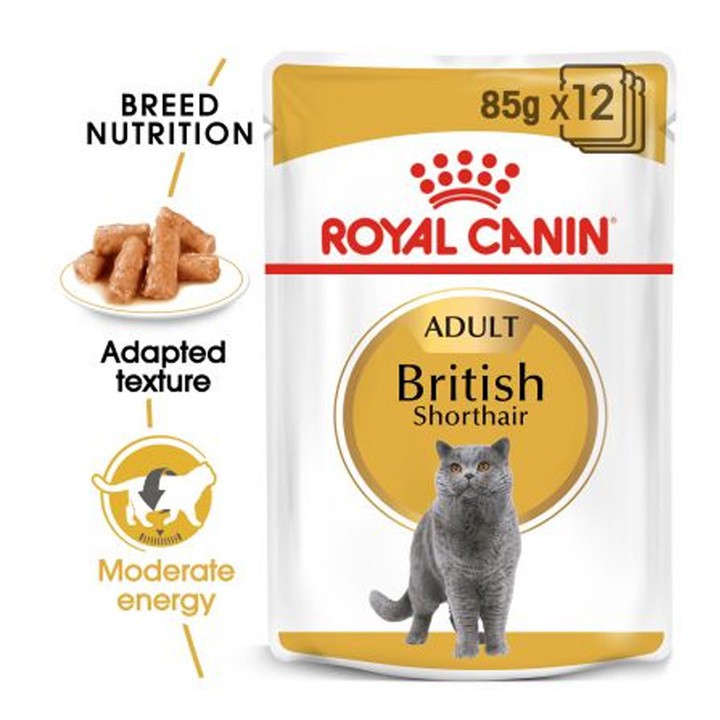 Thức ăn Pate cho mèo Anh lông ngắn Royal Canin British Shorthair 85g