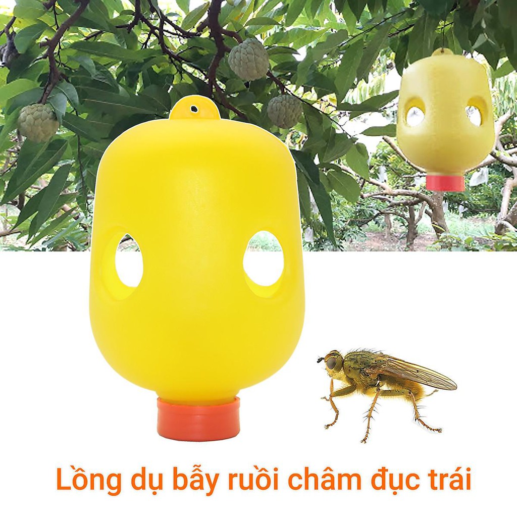 (Combo 3) Lồng bẫy ruồi vàng diệt ruồi đục trái hiệu quả (Vườn Sài Gòn - Vuon Sai Gon)