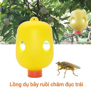 (Combo 3) Lồng bẫy ruồi vàng, bẫy ruồi đục trái, chống dòi trong trái chín (Vườn Sài Gòn)