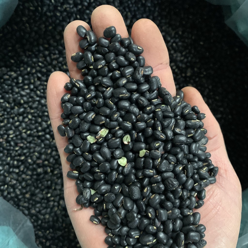 1KG ĐẬU ĐEN XANH LÒNG HỮU CƠ