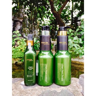 [Chính Hãng]Bộ sản phẩm gội, xả, xịt dưỡng Collagen Sophia Platinum