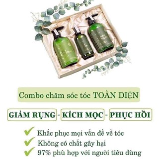 Combo bộ dầu gội bưởi và dầu xả dừa và tinh dầu bưởi vi jully cao cấp