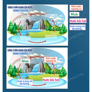 [Đồ dùng dạy học] Vòng tuần hoàn nước
