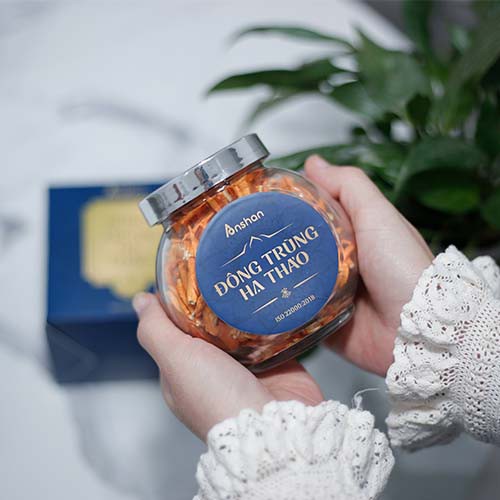 [Chính Hãng] Đông Trùng Hạ Thảo Anshan Sấy Thăng Hoa Thượng Hạng, Hàm Lượng Dược Chất Và Dinh Dưỡng Cao, 20G | BigBuy360 - bigbuy360.vn