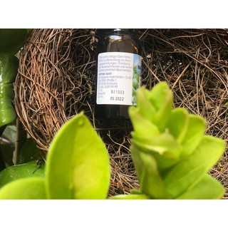 [ HÀNG ĐỨC ] Tinh dầu bạc hà Das Gesunde Plus 30ml