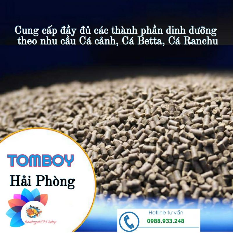 Cám TOMBOY TB3 dành cho cá Cảnh, cá Betta, cá ăn tầng đáy