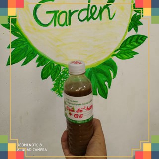 Phân đỗ tương + ge chuối + ge nha đam