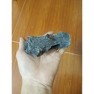 Khúc cây trang trí bể cá bể thủy sinh- Hang trú ẩn cho cá