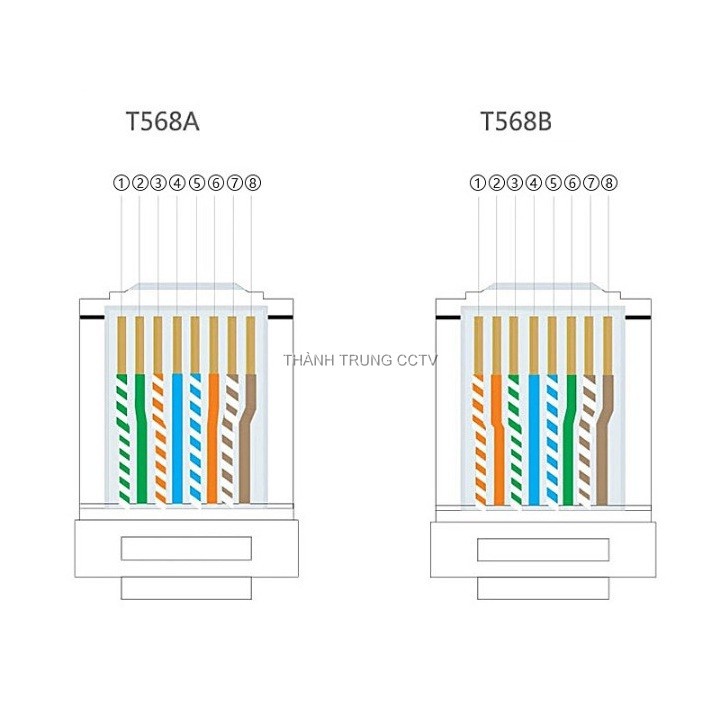 Nhân mạng âm tường cat6 Commscope