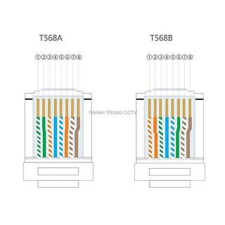 Nhân mạng âm tường cat6 Commcospe - Hạt mạng âm tường cat6 dùng cho mặt nạ Commcospe