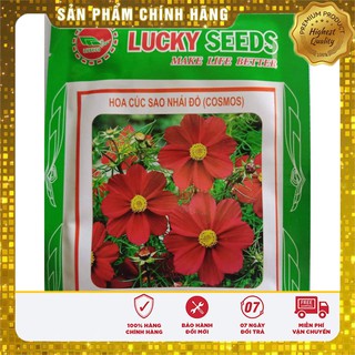 Hạt Giống Hoa Cúc Sao Nhái Đỏ Luckyseeds -100 hạt