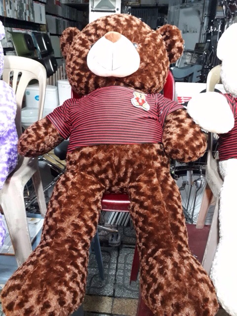 Gấu bông teddy 1m2