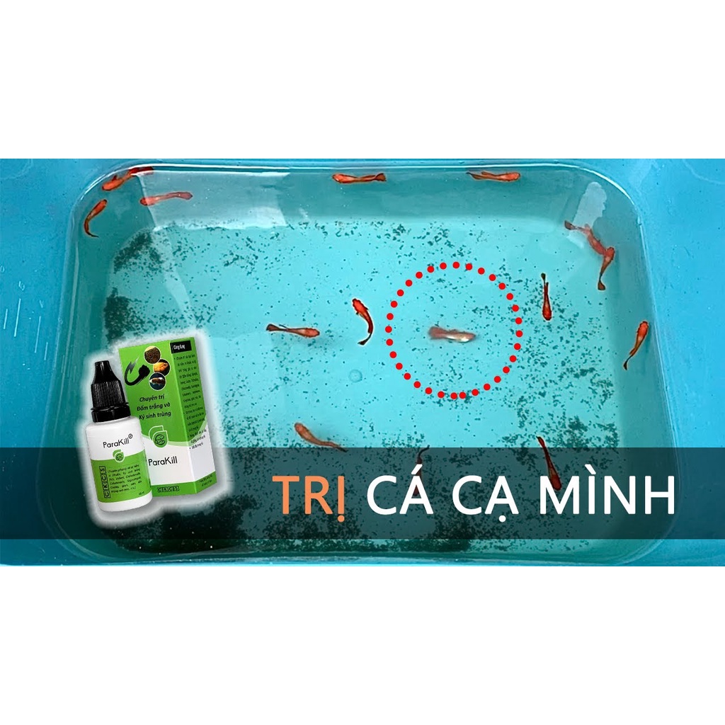 PARAKILL - Chuyên Sử Dụng Cho Các Trường Hợp Nấm trên Cá Cảnh