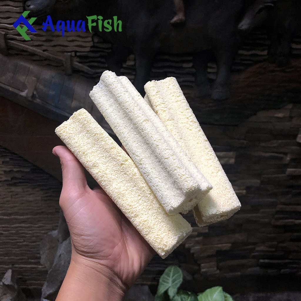 Combo 10 Sứ Thanh Hoa Mai (vật liệu lọc nước hồ cá)