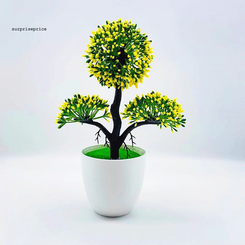 Chậu Cây Bonsai Giả Mini Trang Trí Nhà Cửa