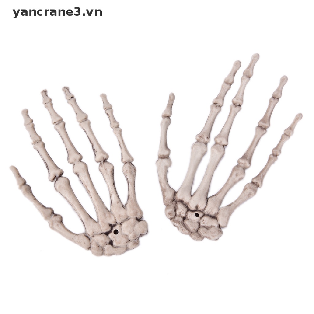 Bộ Xương Bàn Tay Hóa Trang Halloween Kinh Dị Dành Cho Người Lớn yancrane3.vn