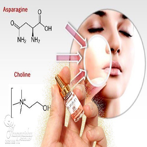 Bộ 5 chai Tế bào gốc từ DNA cá hồi giảm mụn phục hồi da sau 28 ngày Suiskin Salmon DN Ampoule _ Suiskin Chính Hãng