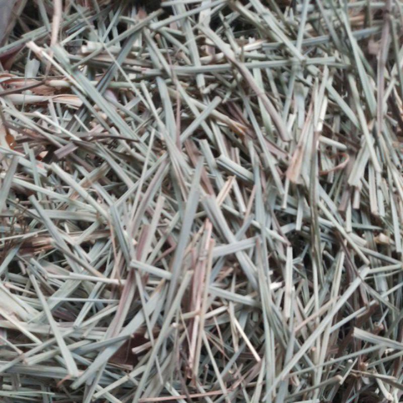 SẢ KHÔ GỘI ĐẦU TỐT CHO TÓC. 100GR