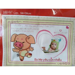 Tranh thêu chữ thập con giáp Lồng Hình Heo chưa thêu