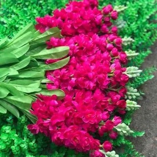 hoa phi yến lụa