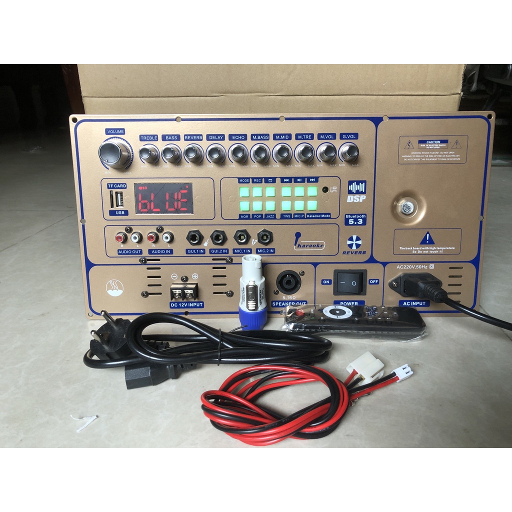 Mạch loa kéo 4 tất đôi DSP chóng hú và Reverb hay, nguồn đôi 40V