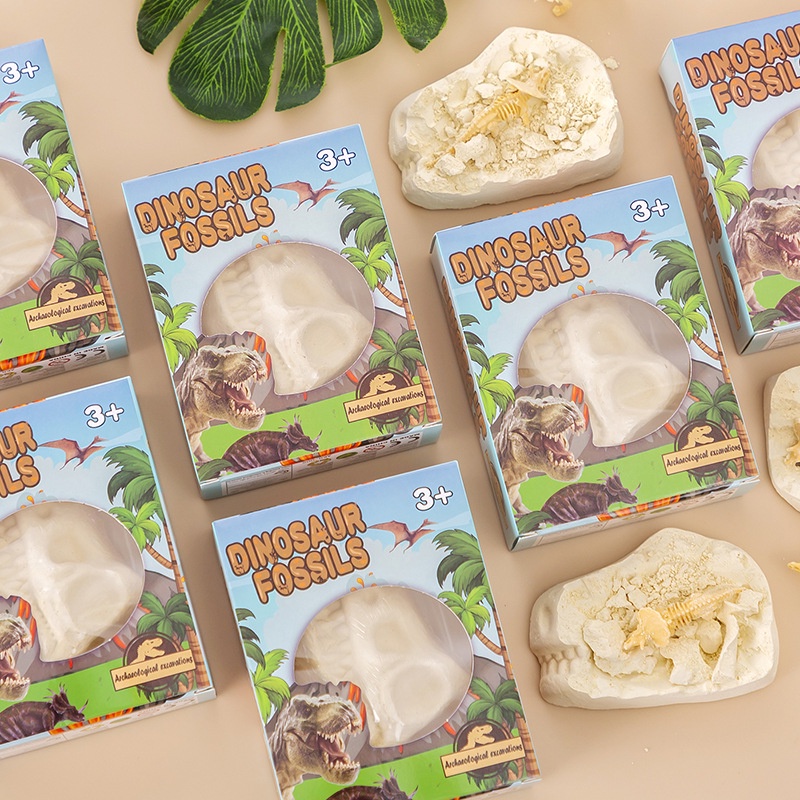 Mô Hình Trứng Khủng Long Hóa Thạch Xương Khủng Long DIY Cho Bé
