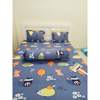 Drap thun Hàn quốc đủ size