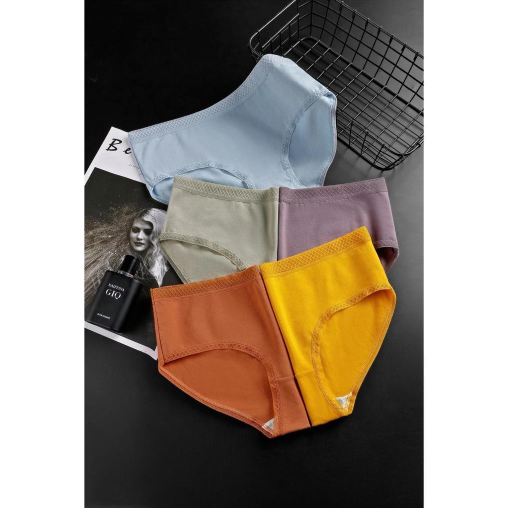 Quần Lót Cotton Cạp Ren Cao Cấp Mới Nhât | BigBuy360 - bigbuy360.vn