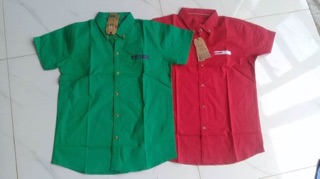 Combo sỉ áo sơ mi