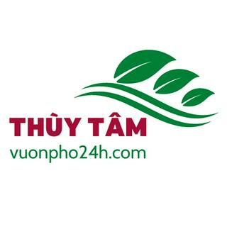 Vườn Phố 24h