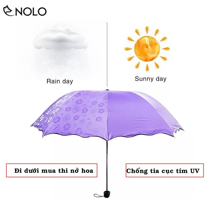 Dù Đi Nắng Mưa Chống Tia UV Gặp Nước Nở Hoa Rộng Khi Bung Rộng 112cm